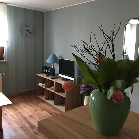 Ferienwohnungen "Am Muehlteich" Radeburg Екстериор снимка